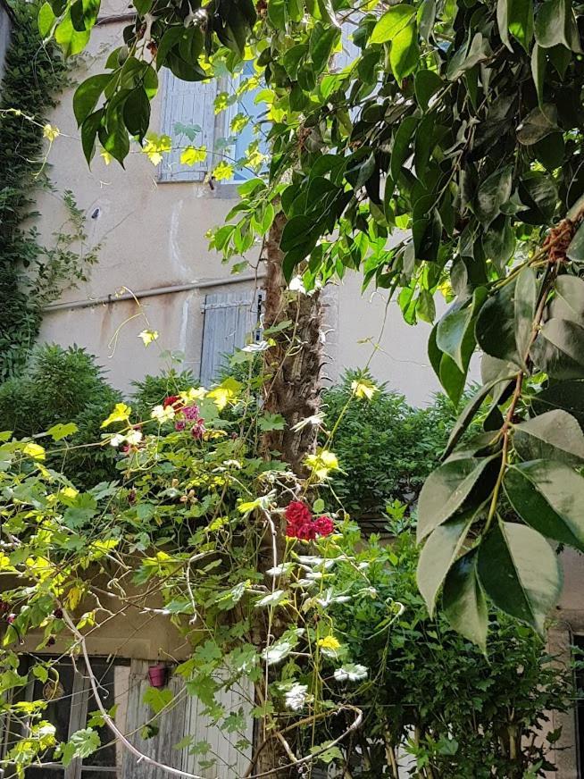 Chambre D'Hote La Passerelle Mazamet Exterior foto